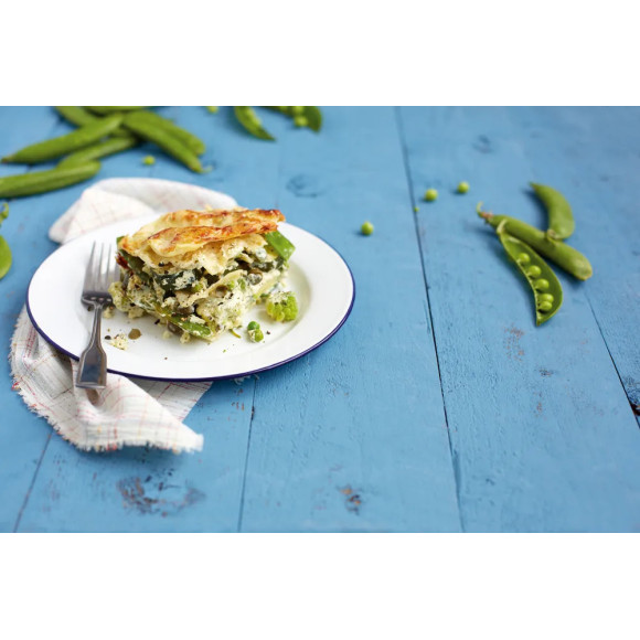 BOSCH MUZ5PP1 (MUM5 kombaino priedas)