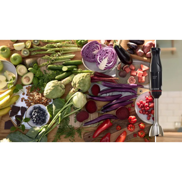 BOSCH MSM4B621 (Strypinis maišytuvas)