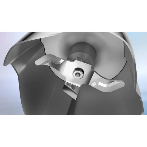 BOSCH MSM6M8X1 (Strypinis maišytuvas)