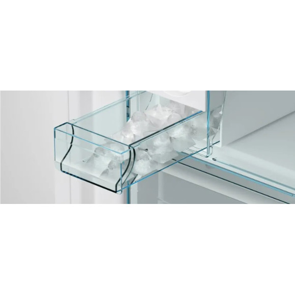 BOSCH GSN36AIDP (Šaldiklis)