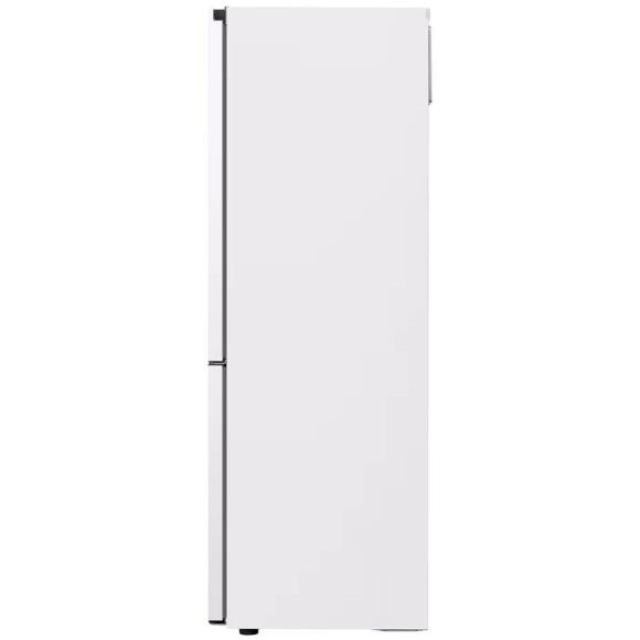 LG GBV3100ESW (Šaldytuvas)