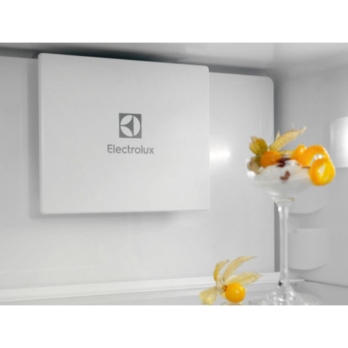 Electrolux ENT6ME18S (Šaldytuvas)