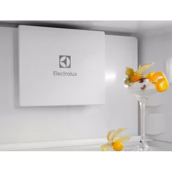 ELECTROLUX ENT6MD19S3 (Šaldytuvas)