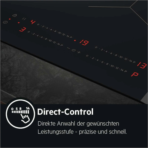 AEG TO64IB00IB (Indukcinė kaitlentė)