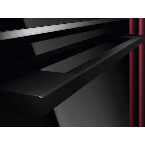 AEG TP9SB831AB (Orkaitė)