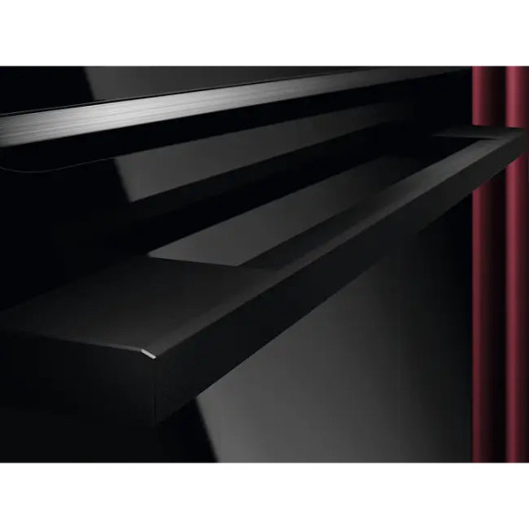 AEG TP9SB831AB (Orkaitė)