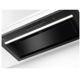 Electrolux LFG916K (Gartraukis) 2