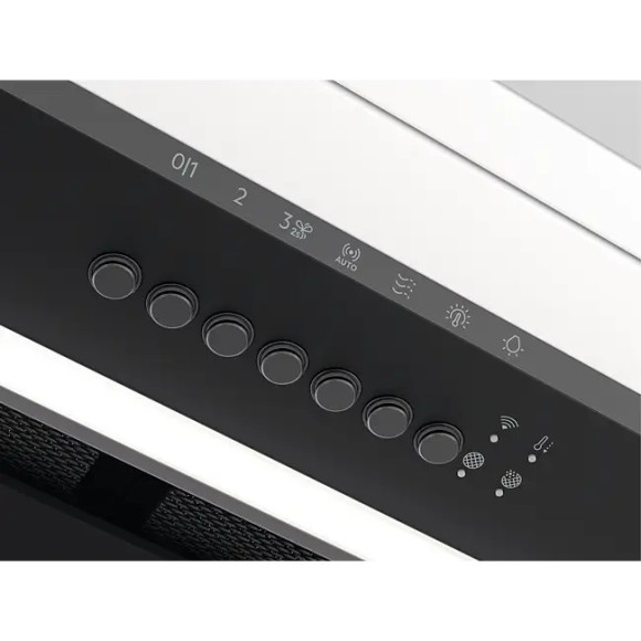 Electrolux LFG916K (Gartraukis)