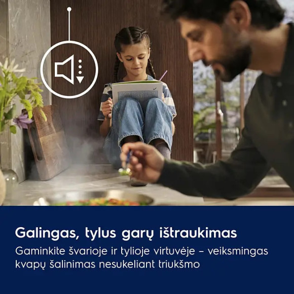 Electrolux LFG916K (Gartraukis)