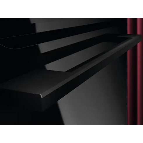 AEG NBA5P531AB (Orkaitė)