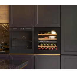 Avintage AVI60PLATINUM (Vyno šaldytuvas) 2