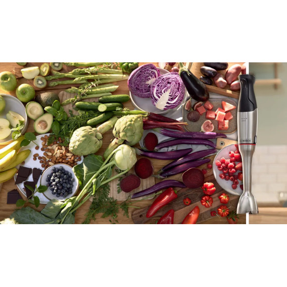 BOSCH MSM6M831 (Strypinis maišytuvas)