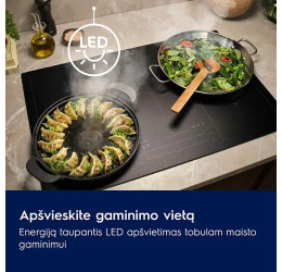 Electrolux LFG815K (Gartraukis) 2