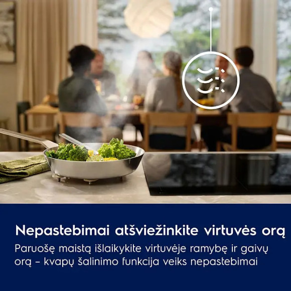 Electrolux LFG828K (Gartraukis)