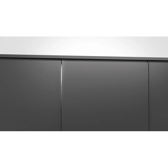 BOSCH SBT4ECX33E (Indaplovė)