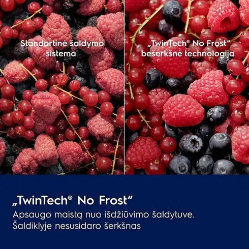 Electrolux LNA7NE18S (Šaldytuvas)