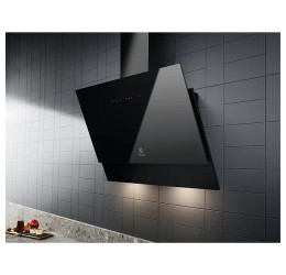 Electrolux LFV416K (Gartraukis) 2