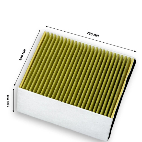 BOSCH DZZ1XX1B6 (Anglies filtras)